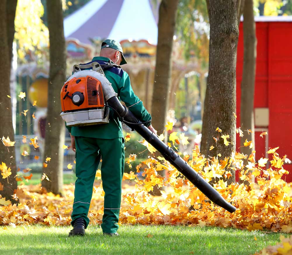 leafblower-crop